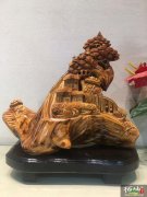 心理健康与自我探索指南